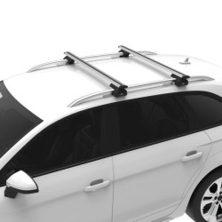 БАГАЖНИК ГРЕДИ CRUZ AIRO за Audi A4 Allroad (B8, B9, B9.2 - railing) (2009-->2016) (2016-->2019) (2019-->)